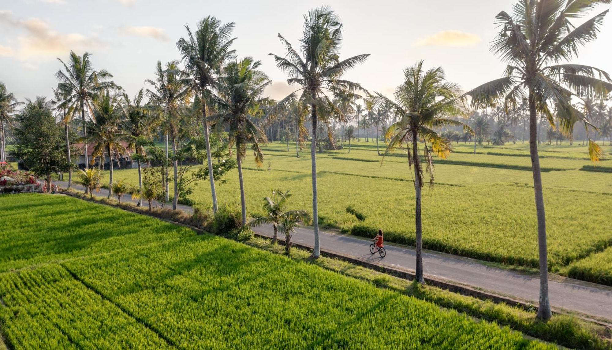 Thewakanda Resort A Pramana Experience Ubud Exteriér fotografie