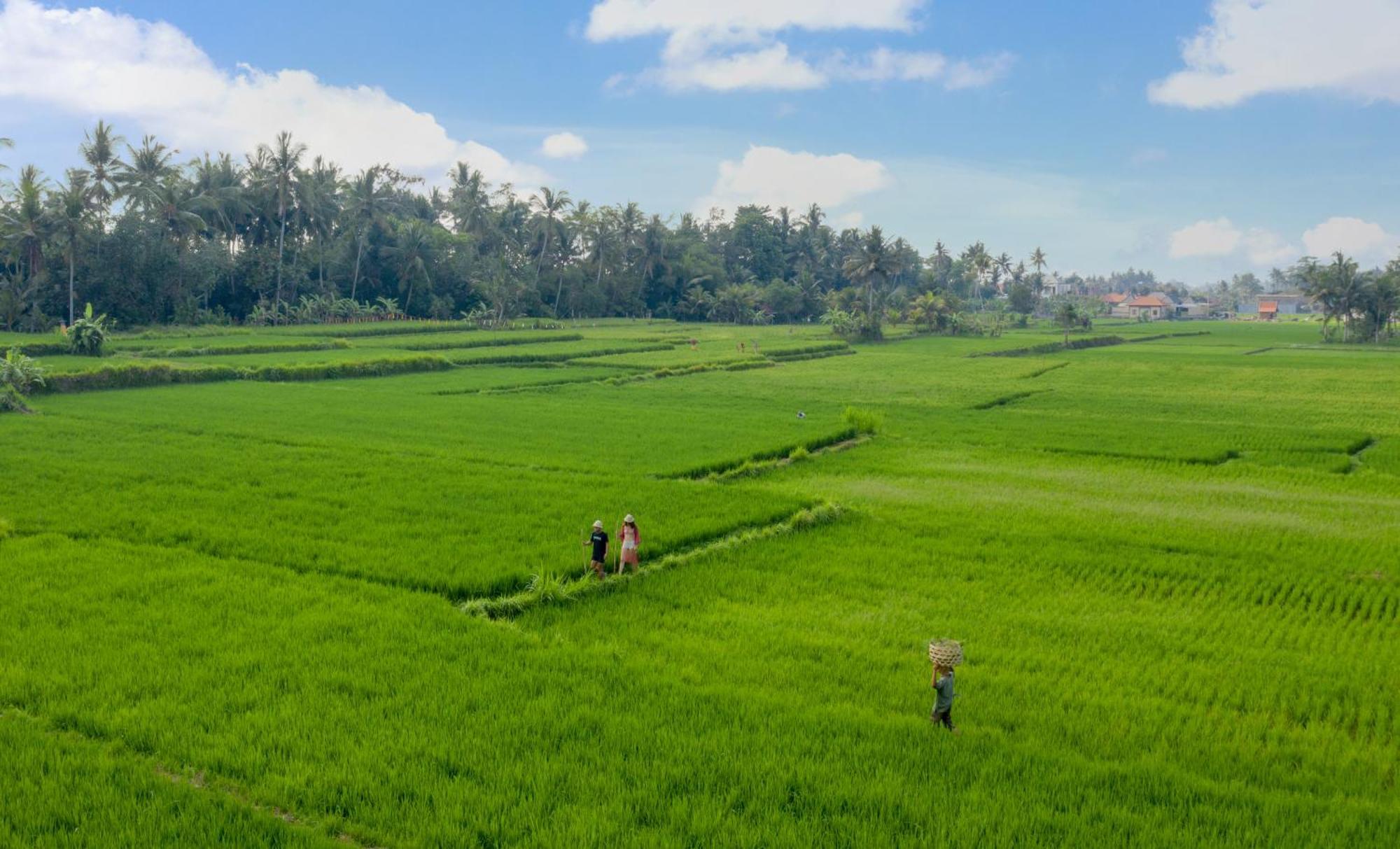 Thewakanda Resort A Pramana Experience Ubud Exteriér fotografie